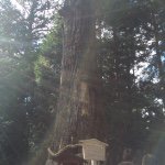 10986053_1039394929408617_1272720309_a