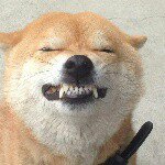 924098_813510812050777_994232383_a