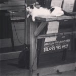 10899027_1099281120086044_946668978_a