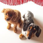 11176412_919569921396411_1399716041_a