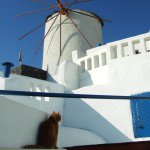 925333_850961174938362_1575015332_a