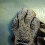 11371239_387217438140198_631713902_a