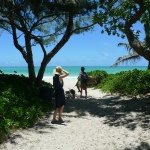 925891_1443836055866296_1746395104_a