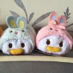 11255297_863462437067493_999312970_a