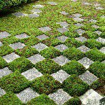 11357916_1447925438845277_1638865140_a