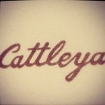 10424661_304421619721544_1510307033_a