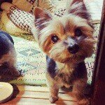 10414053_587766714654930_336624182_a