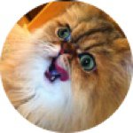 Profile_10785251_75sq_1380300461