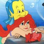 11375237_1471087269875816_521510373_a