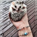 11191287_1030130800338525_647779923_a