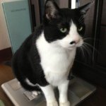 Profile_726351912_75sq_1393503062