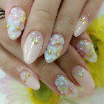 11007758_1410023599299626_691434781_a