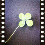 10914478_475460395926081_1513995503_a