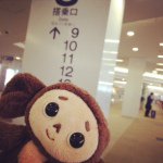 10784831_1579724362256658_1592518869_a