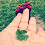 10467983_911476548868554_773256675_a