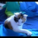 11809613_1715572291997018_330171898_a