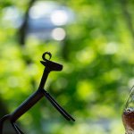 11349167_1571309463129178_17406668_a