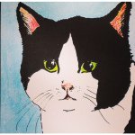 10632149_712427152146042_586431060_a