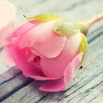 10471998_655703881242691_1583109950_a