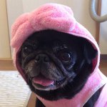 1172133_702353836514795_177546167_a