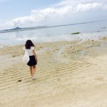 11373786_1839627359595681_781557384_a