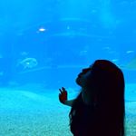 11380851_844644905612043_24217049_a