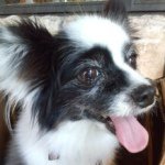 Profile_334220639_75sq_1376552715