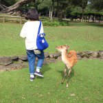 10755710_1426010621007265_986830551_a