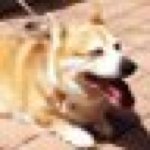 10693505_522616201207741_1864608697_a