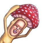 11374472_995557560464213_611439331_a