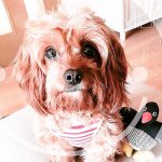 10979506_624967754295471_1634230718_a