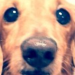 Profile_230694668_75sq_1384074614