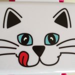 11334640_763096517141952_239220783_a