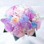 11357270_1637327356514038_929619486_a