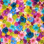 11282261_819990798089193_606252559_a