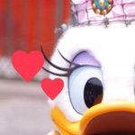 11313538_105261486480419_179947087_a