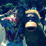 10326393_401723446700475_308734003_a