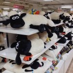 10387835_721043397962779_839042079_a