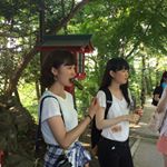 11356745_1609983612593657_1283958931_a