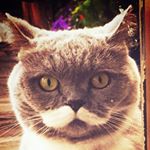 1740222_1630175437230364_1419427952_a