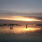 11353523_1611679099084828_1226912454_a