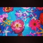 10785076_723466517746689_1254257214_a