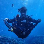 10903454_752216924874621_423294962_a