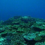 Profile_1160581006_75sq_1394316974