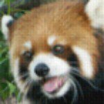 Profile_33896809_75sq_1353204651