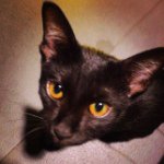 1922187_788852697819880_1801546877_a