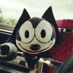 10467857_246191075575813_1706834890_a