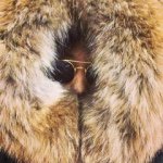 10954954_1419758231655436_155483484_a