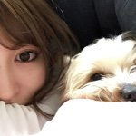 11005008_433261243499179_661915588_a