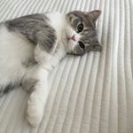 11357808_1101957059817803_1531855599_a